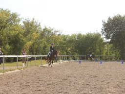img_7336_web